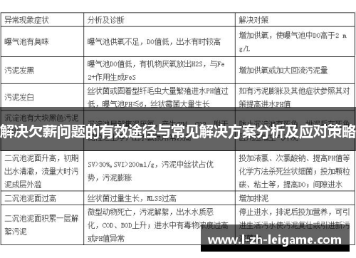 解决欠薪问题的有效途径与常见解决方案分析及应对策略 解决欠薪问题的有效途径与常见解决方案分析及应对策略