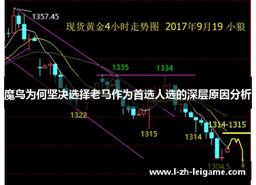魔鸟为何坚决选择老马作为首选人选的深层原因分析